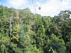 CairnsTC332 Kuranda